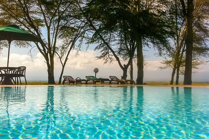 1-Day Amboseli Safari - What the positive feedback tells you