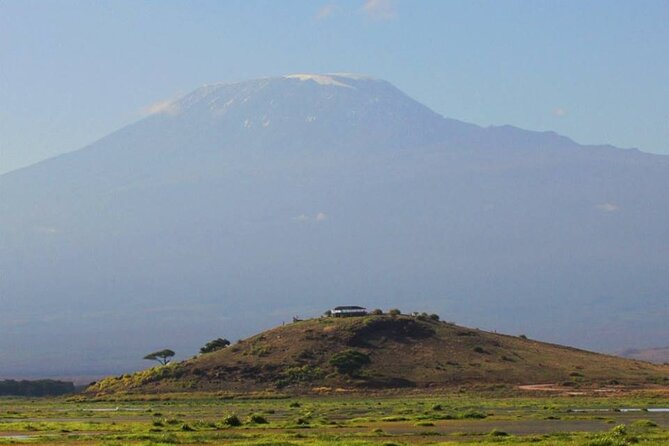 1-Day Amboseli Safari - Who should book this day safari?