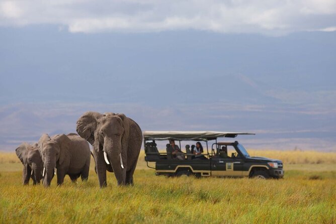 1-Day Amboseli Safari - Observation Hill gives the day a change of pace