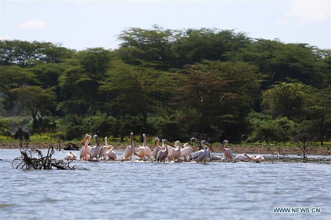 1 Day Bike Tour to Hell’s Gate And Lake Naivasha - What to expect on the Lake Naivasha boat ride