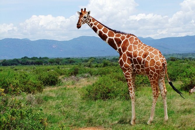 1 Day Shimba Hills starting from Diani Beach. - Entering Shimba Hills National Reserve