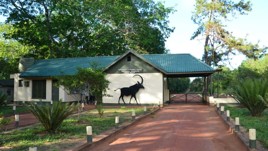 1 day Shimba Hills Tour - The best reasons to book this day