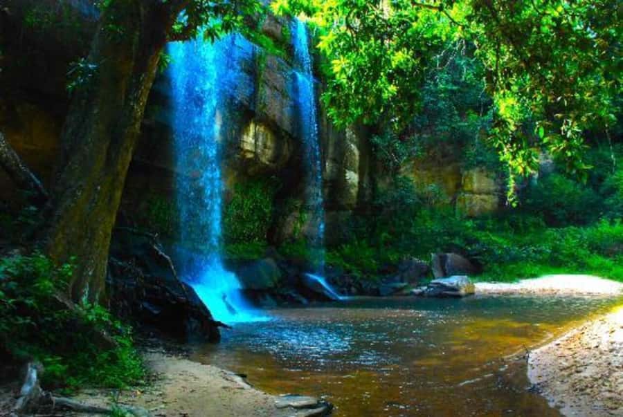 1 day Shimba Hills Tour - The afternoon game drive and return to Diani