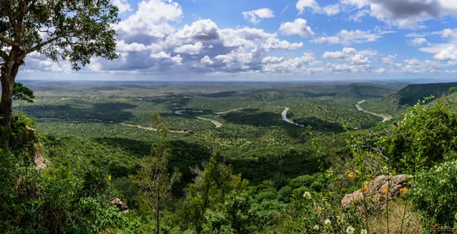 1 day Shimba Hills Tour - Who will enjoy this tour most