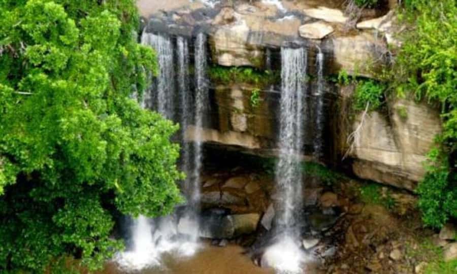 1 day Shimba Hills Tour - Why Shimba Hills feels different from a classic safari