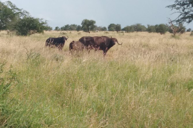 1 day Shimba hills - Walking to Sheldrick Falls