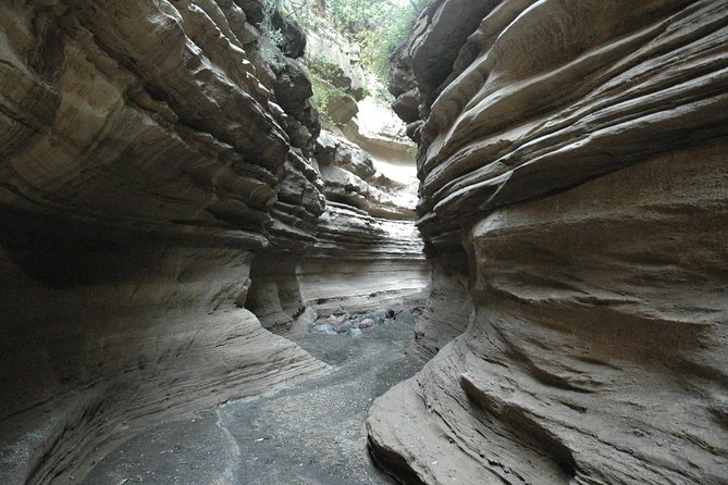1 Day trip to Hells Gate and Lake Naivasha From Nairobi - Adding the Lake Naivasha boat ride