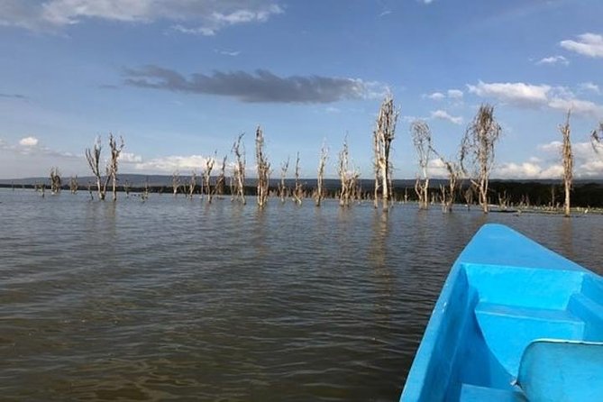 1 Day trip to Hells Gate and Lake Naivasha From Nairobi - Who should book this active Nairobi day trip