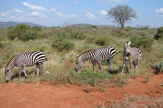 1-Day Tsavo East Safari From Mombasa - Key points before you book
