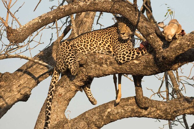 1 Day Tsavo East Safari ( Minimum 2 Pax) - Entering Tsavo East after Bachuma Gate