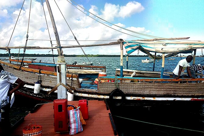 1 day wasini island ( Kisite Marine park) - The one-hour search for wild dolphins