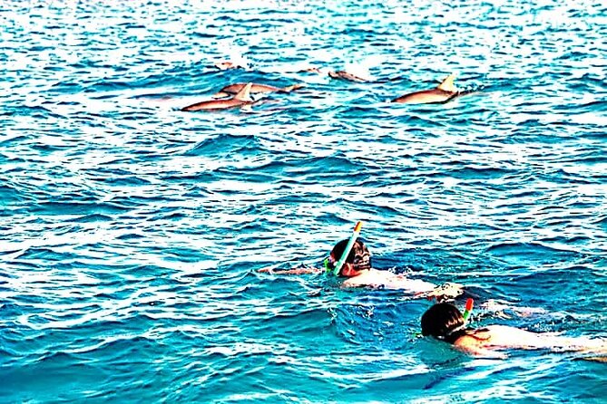 1 day wasini island ( Kisite Marine park) - Lunch and a quieter beach stop