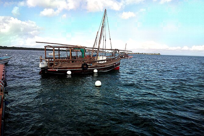 1 day wasini island ( Kisite Marine park) - Snorkeling inside Kisite Marine Park