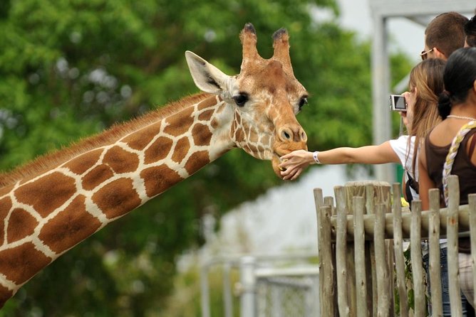 10-Day Private Tour in Big Five Safari and Beaches - Key points to know before booking