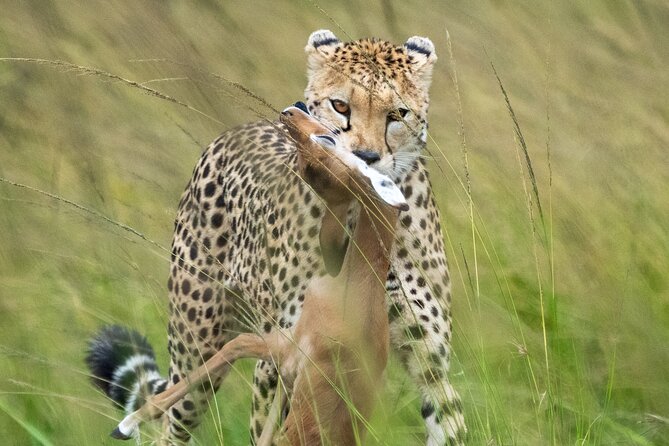 10-Day Private Tour in Big Five Safari and Beaches - Day 4: Hell’s Gate and Nairobi’s giraffes