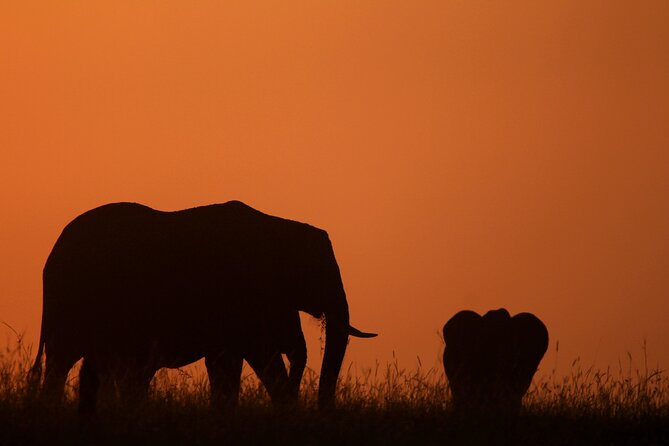 10 -Days Best of Kenya and Tanzania Classic Safari - Day 9: Down into Ngorongoro Crater