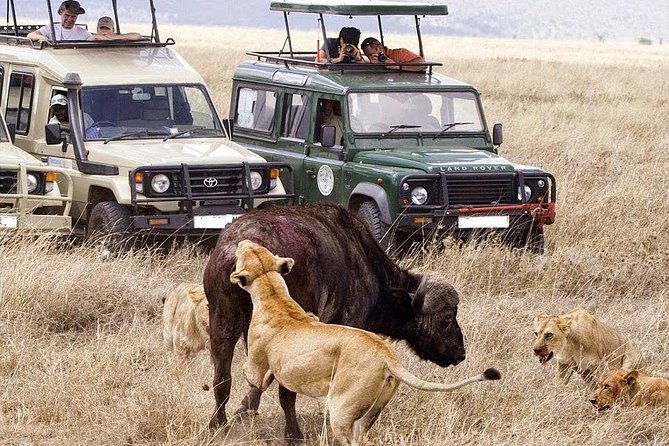 10-Days Kenya Wildlife Private Safari and Mombasa Diani Beach Holidays - Three nights where the wildlife action is strongest