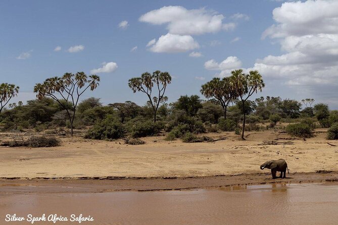 11-Day Serengeti, Maasai Mara, Tarangire, Amboseli Park - Lake Elementaita slows the pace