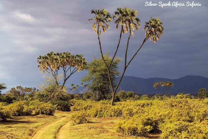 11-Day Serengeti, Maasai Mara, Tarangire, Amboseli Park - Two days across the Serengeti