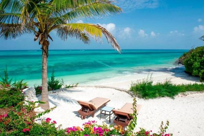 11-Days Kenya Zanzibar Safari - Days 9 and 10: White sand, coral reefs, and Stone Town options