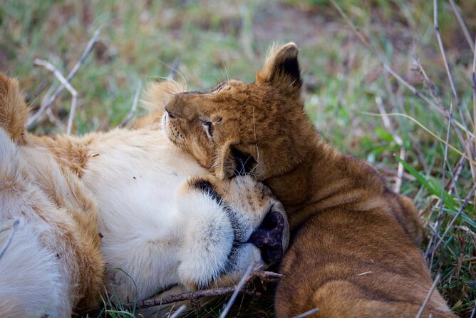 11 Days Private Tour to Explore Amboseli and Samburu - Hell’s Gate offers a rare chance to walk or cycle