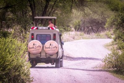 12 Days Best Of Kenya and Tanzania Safari – Luxury
