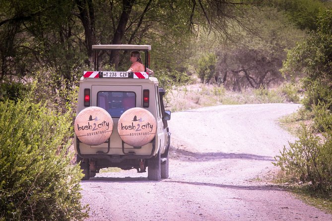 12 Days Best Of Kenya and Tanzania Safari - Luxury - Days 3 to 5: Three nights in the Maasai Mara