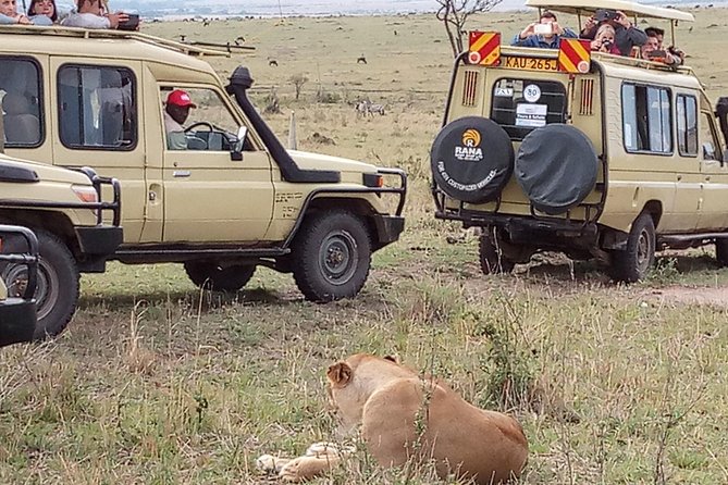 12 Days Kenya and Tanzania Budget Private Safari from Nairobi - Day six: crossing from Kenya into Tanzania