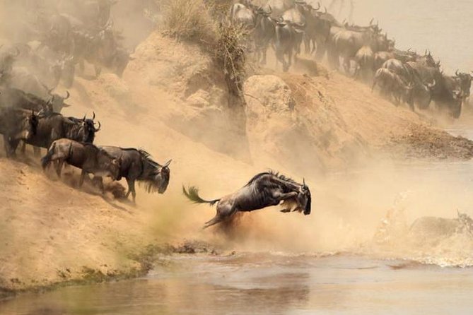 12 days Kenya and Tanzania safari private lodge from Nairobi - Nairobi begins with an easy first night