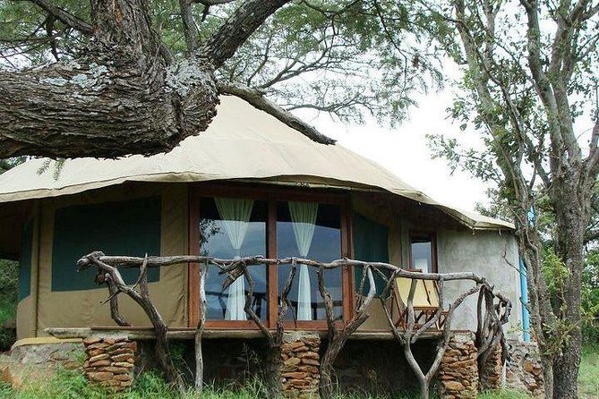 12 days Kenya and Tanzania safari private lodge from Nairobi - Lake Manyara adds birds and unusual lion behavior