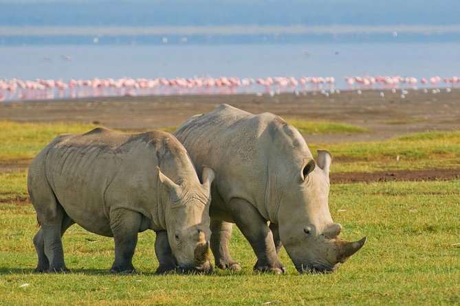 12 days Kenya and Tanzania safari private lodge from Nairobi - Lake Naivasha combines scenery, walking country, and hippos