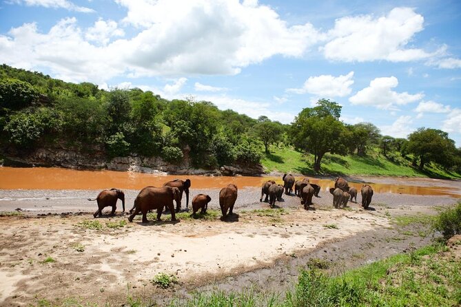 12 Days Kenya & Tanzania Safari Private Lodge Safari from Nairobi - Key things to know before booking