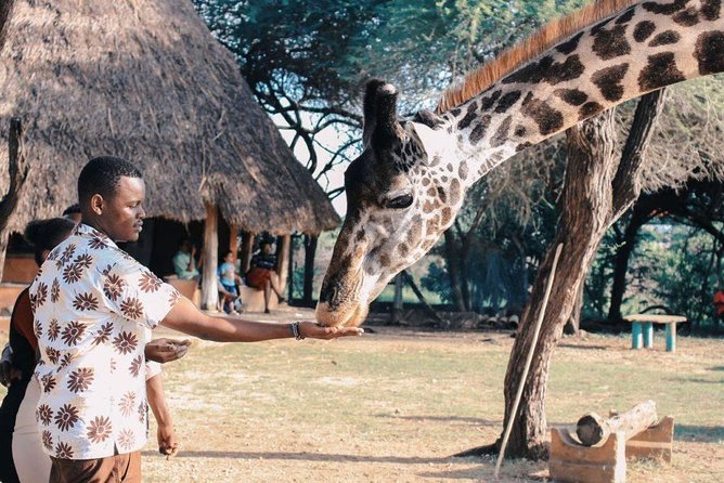 12 Days Kenya Tanzania wildlife Joining Tour - What $2,890 buys you on this Kenya Tanzania safari