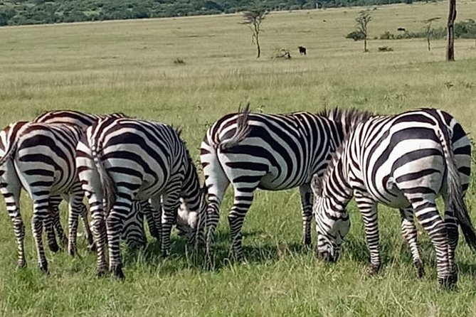 12 Days wildebeest migration Masai Mara Nakuru Uganda gorilla trekking safari - Batwa culture, canoeing, and optional time