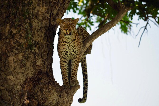 13-Day Private Wildlife Safari Tour of Kenya and Tanzania - Day 3: Rhinos and birdlife at Lake Nakuru