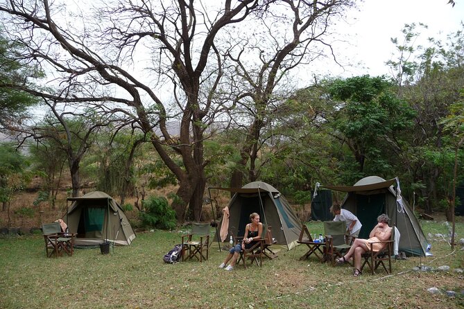 14-Days Kenya and Tanzania Camping Safari from Nairobi - Tarangire brings big trees and a full park day