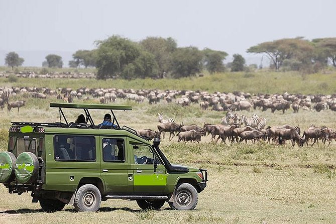 14-Days Kenya and Tanzania Camping Safari from Nairobi - Lake Nakuru adds a different kind of park