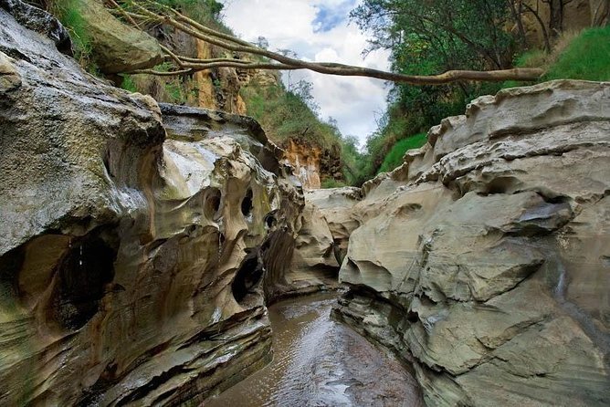 15 Days Classic Kenya & Tanzania + Zanzibar Beach Holiday - Lake Naivasha and Hell’s Gate
