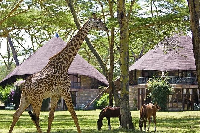 15 Days Classic Kenya & Tanzania + Zanzibar Beach Holiday - Three days in the Maasai Mara