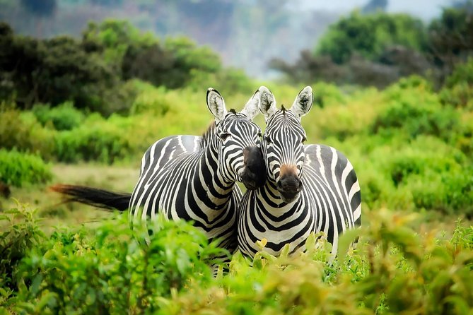 15 Days Classic Kenya & Tanzania + Zanzibar Beach Holiday - Ngorongoro Crater and the crater rim