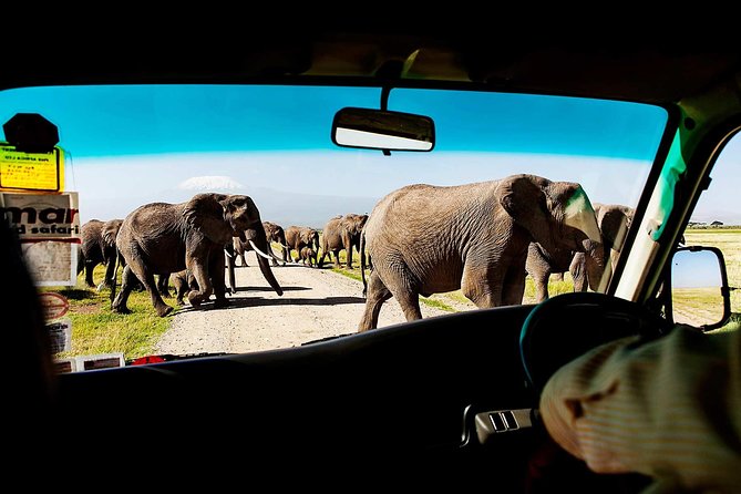 2-Day Amboseli National Park Safari- Daily Departures - Elephants and Kilimanjaro in one short safari