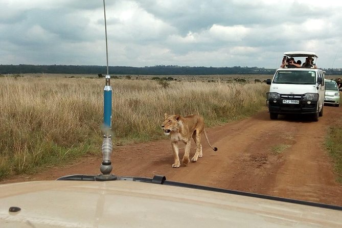 2-Day Amboseli National Park Safari- Daily Departures - Sleeping near the park, with night sounds