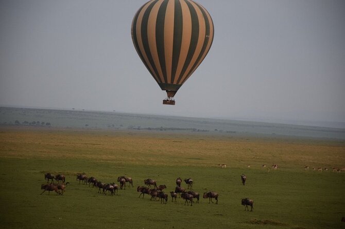 2-Day Private Tour in Masai Mara with Pick Up - Meals, water, and the overnight stay