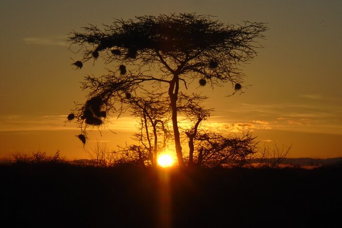 2-Day Private Tour in Tsavo East - Day one: the first game drive in Tsavo East