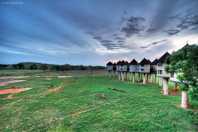 2-Day Safari in Taita Hills from Mombasa - Why this two-day safari works from Mombasa