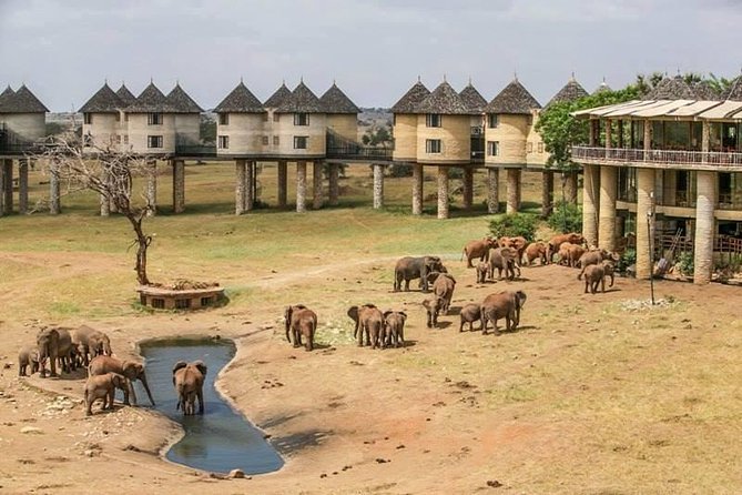 2-Day Safari in Taita Hills from Mombasa - The Salt Lick arrival and afternoon drive