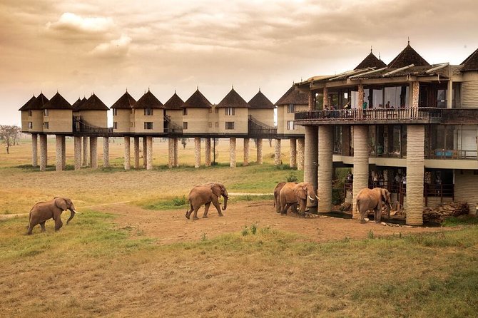 2-Day Safari in Taita Hills from Mombasa - Is $399 a fair price?