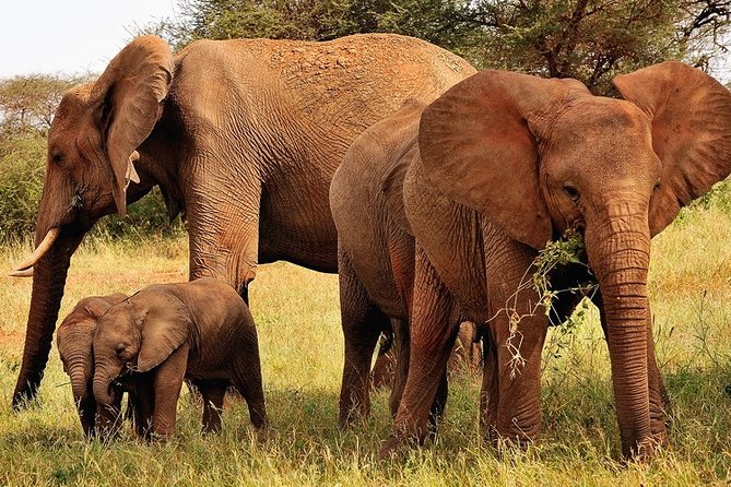 2-Day Safari in Taita Hills from Mombasa - The road from Mombasa to Voi and Ngutuni