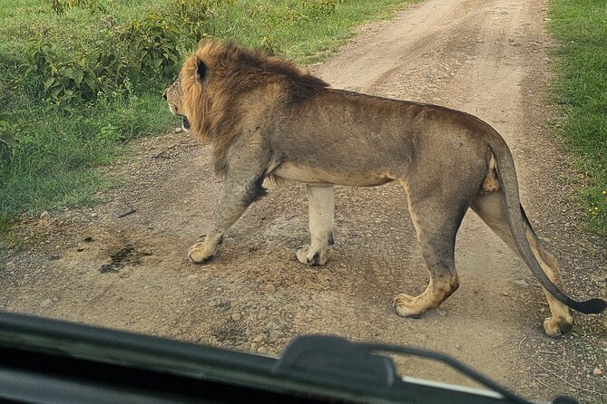 2 Days 1 Night Amboseli National Park Private Safari. - Observation Hill and the one chance to walk