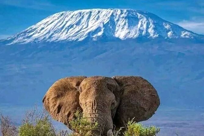 2 Days 1 Night Amboseli National Park Private Safari. - The drive from Nairobi to Amboseli